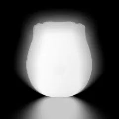 Glow-in-the-Dark 10-Function White Silicone Rechargeable Clitoral Sucking Rose Sex Toy